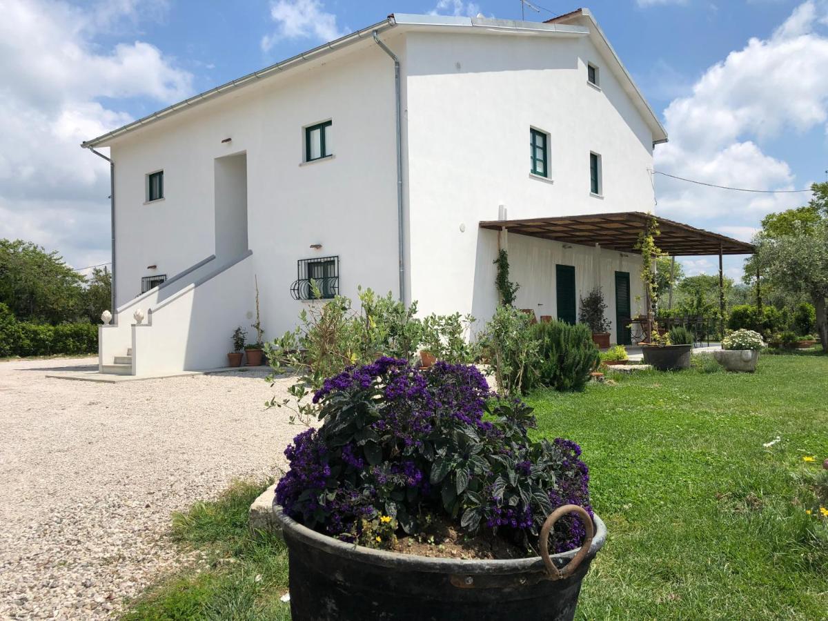 Casa Agricola Scorziello Villa Serre  Екстериор снимка