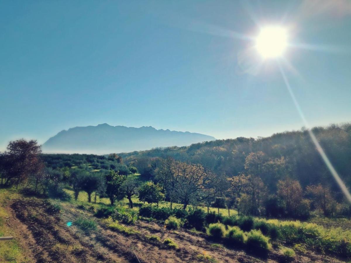 Casa Agricola Scorziello Villa Serre  Екстериор снимка