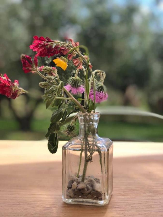 Casa Agricola Scorziello Villa Serre  Екстериор снимка
