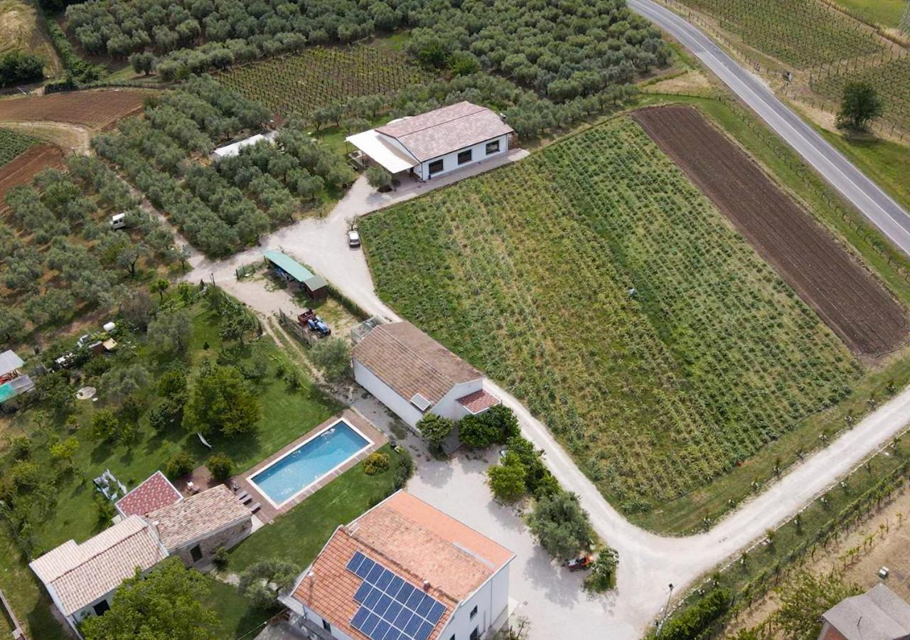 Casa Agricola Scorziello Villa Serre  Екстериор снимка