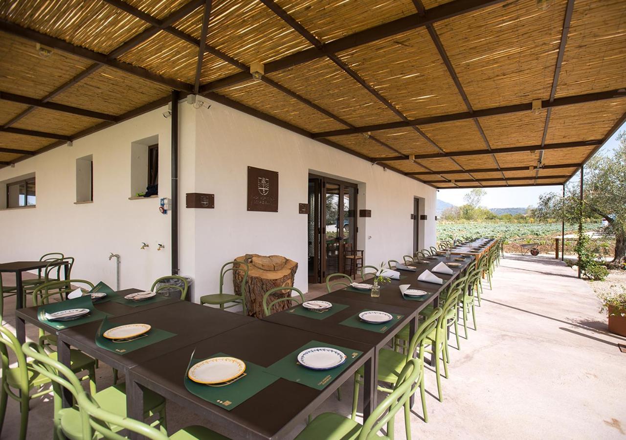 Casa Agricola Scorziello Villa Serre  Екстериор снимка