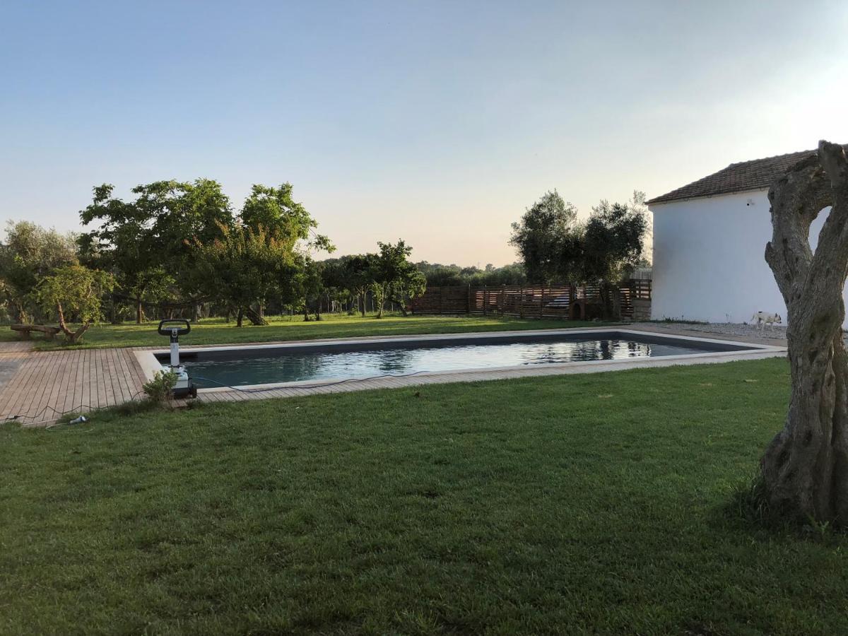 Casa Agricola Scorziello Villa Serre  Екстериор снимка